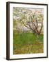 The Flowering Orchard, 1888-Vincent van Gogh-Framed Giclee Print