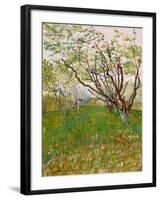 The Flowering Orchard, 1888-Vincent van Gogh-Framed Giclee Print