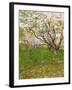 The Flowering Orchard, 1888-Vincent van Gogh-Framed Giclee Print