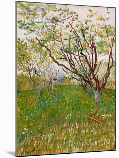 The Flowering Orchard, 1888-Vincent van Gogh-Mounted Giclee Print
