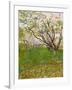 The Flowering Orchard, 1888-Vincent van Gogh-Framed Giclee Print