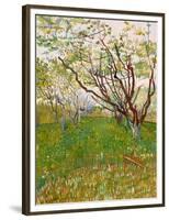 The Flowering Orchard-Vincent van Gogh-Framed Premium Giclee Print