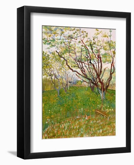 The Flowering Orchard-Vincent van Gogh-Framed Art Print