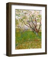 The Flowering Orchard-Vincent van Gogh-Framed Art Print