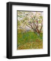 The Flowering Orchard-Vincent van Gogh-Framed Art Print