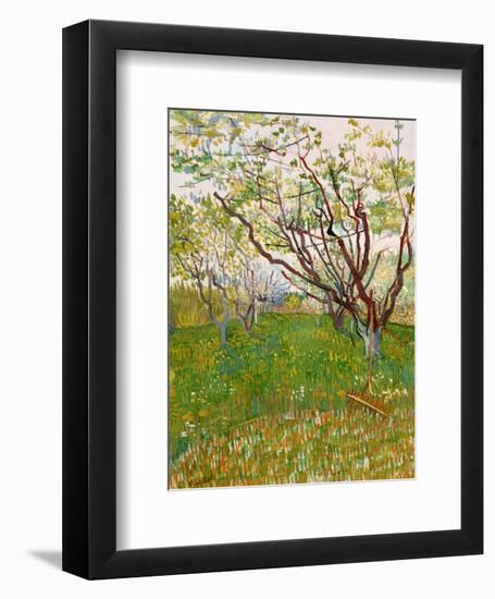 The Flowering Orchard-Vincent van Gogh-Framed Art Print