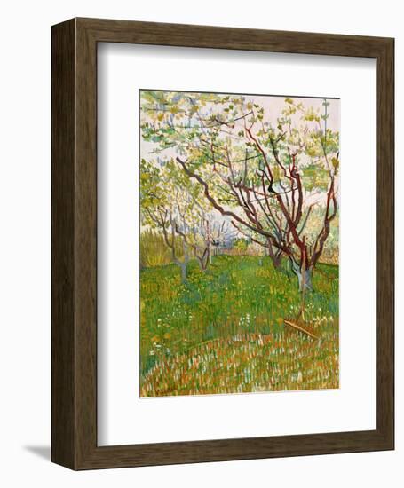 The Flowering Orchard-Vincent van Gogh-Framed Art Print