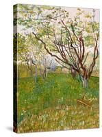 The Flowering Orchard-Vincent van Gogh-Stretched Canvas