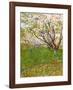 The Flowering Orchard-Vincent van Gogh-Framed Art Print