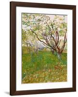 The Flowering Orchard-Vincent van Gogh-Framed Art Print