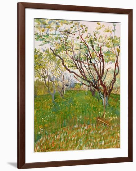 The Flowering Orchard-Vincent van Gogh-Framed Art Print