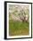 The Flowering Orchard-Vincent van Gogh-Framed Art Print