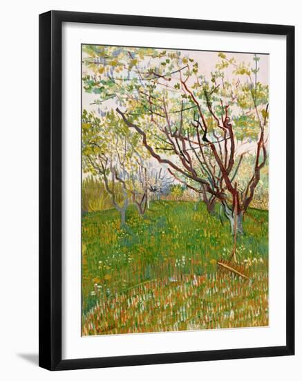 The Flowering Orchard-Vincent van Gogh-Framed Art Print