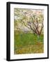 The Flowering Orchard-Vincent van Gogh-Framed Art Print