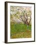 The Flowering Orchard-Vincent van Gogh-Framed Art Print