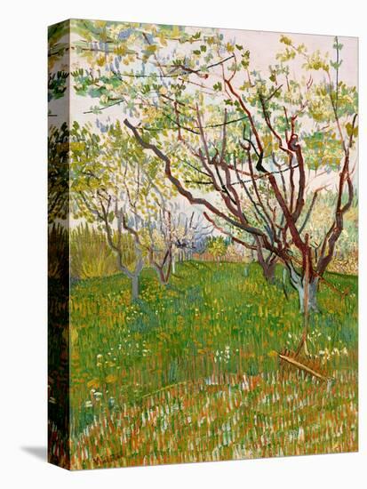 The Flowering Orchard-Vincent van Gogh-Stretched Canvas