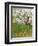 The Flowering Orchard-Vincent van Gogh-Framed Premium Giclee Print