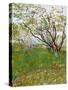 The Flowering Orchard-Vincent van Gogh-Stretched Canvas