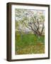 The Flowering Orchard-Vincent van Gogh-Framed Giclee Print