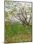 The Flowering Orchard-Vincent van Gogh-Mounted Giclee Print