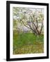 The Flowering Orchard-Vincent van Gogh-Framed Giclee Print