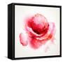 The Flowering Red Poppy-artant-Framed Stretched Canvas