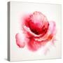 The Flowering Red Poppy-artant-Stretched Canvas