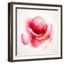 The Flowering Red Poppy-artant-Framed Art Print