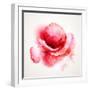 The Flowering Red Poppy-artant-Framed Art Print