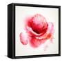 The Flowering Red Poppy-artant-Framed Stretched Canvas