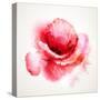 The Flowering Red Poppy-artant-Stretched Canvas