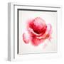 The Flowering Red Poppy-artant-Framed Art Print