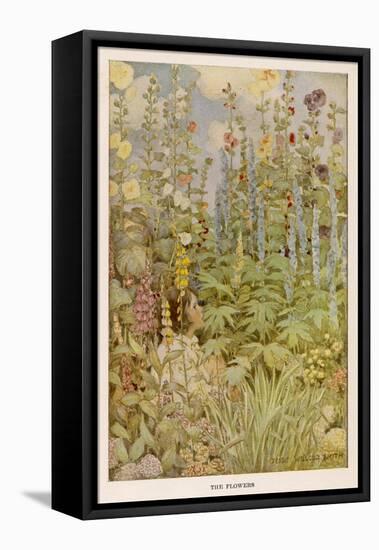 The Flowers: "All the Names I Know from Nurse: Gardener's Garters, Shepherd's Purse"..-null-Framed Stretched Canvas