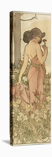 The Flowers: Carnation, 1898-Alphonse Mucha-Stretched Canvas