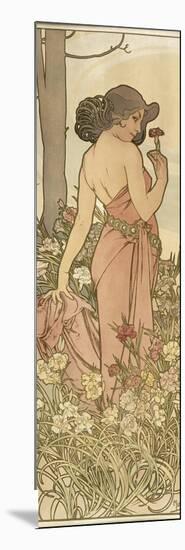 The Flowers: Carnation, 1898-Alphonse Mucha-Mounted Giclee Print
