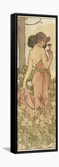 The Flowers: Carnation, 1898-Alphonse Mucha-Framed Stretched Canvas