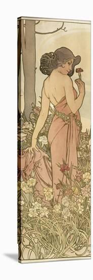 The Flowers: Carnation, 1898-Alphonse Mucha-Stretched Canvas