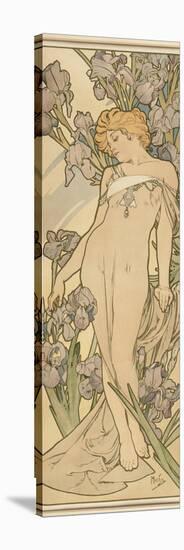 The Flowers: Iris, 1898-Alphonse Mucha-Stretched Canvas