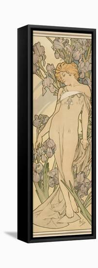 The Flowers: Iris, 1898-Alphonse Mucha-Framed Stretched Canvas