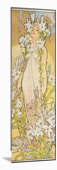 The Flowers: Lily, 1898-Alphonse Mucha-Mounted Giclee Print