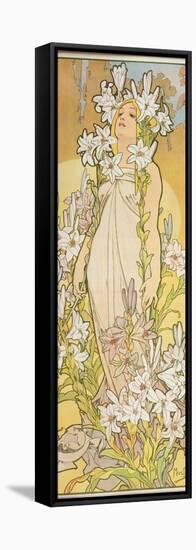 The Flowers: Lily, 1898-Alphonse Mucha-Framed Stretched Canvas