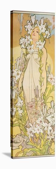 The Flowers: Lily, 1898-Alphonse Mucha-Stretched Canvas
