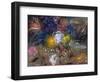 The Flowers of Little Ida, 2008-Annael Anelia Pavlova-Framed Giclee Print