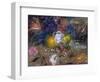 The Flowers of Little Ida, 2008-Annael Anelia Pavlova-Framed Giclee Print