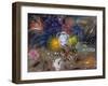 The Flowers of Little Ida, 2008-Annael Anelia Pavlova-Framed Giclee Print