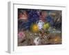 The Flowers of Little Ida, 2008-Annael Anelia Pavlova-Framed Giclee Print