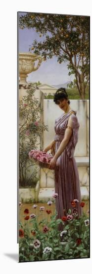 The Flowers of Venus, 1890-John William Godward-Mounted Giclee Print