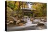 The Flume Bridge-Michael Blanchette-Stretched Canvas