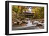 The Flume Bridge-Michael Blanchette-Framed Photographic Print