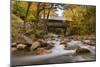 The Flume Bridge-Michael Blanchette-Mounted Photographic Print